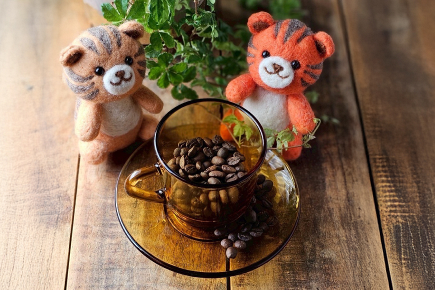 スペシャルティコーヒー飲み比べ 計300g (3種×100g) エチオピア ブラジル とらまめブレンド [とらまめロースタリー 兵庫県 三田市 3d28bed500000] coffee 珈琲 こーひー