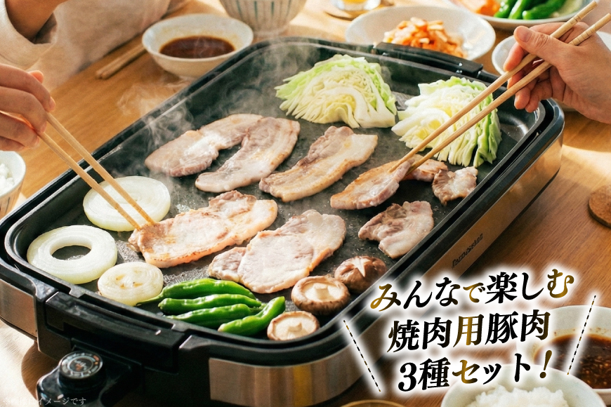 豚肉 小分け 兵庫県産 三田ポーク 焼肉用 3種 500g 計 1.5kg ロース 肩ロース バラ セット [パスカルさんだ 兵庫県 三田市 3d28bae660043] 冷凍 国産 焼肉 焼き肉 カット 豚 肉 詰め合わせ