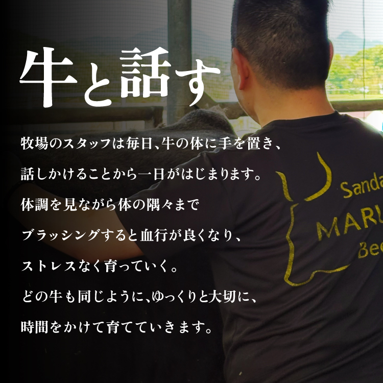 【ふるさと納税】 三田 マルセ牛 特選 厚切り ロース ステーキ 約270g 2枚 贅沢 ボリューム 豪華 満足 勢戸 牛肉 ギフト 肉 お祝い 但馬牛 神戸牛 三田牛 数量限定 訳あり ふるさと納税 ふるさと 人気 おすすめ 送料無料 兵庫県 三田市 [3d28bae610013]