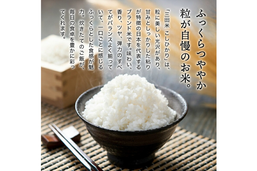 テレビで話題★【令和6年度産】 米 三田米 コシヒカリ 5kg [パスカルさんだ 兵庫県 三田市 3d28bae660039] お米 こめ おこめ 精米 白米 コメ オコメ もちもち つやつや ご飯 ごはん