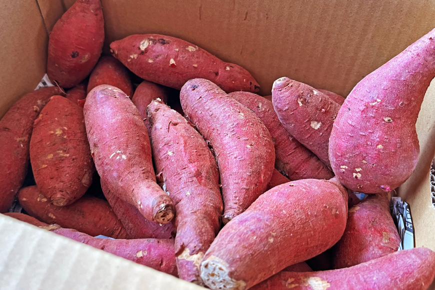 さつまいも 紅はるか 5kg 【2025年11月前半〜2026年3月後半配送】 [SSSファーム 兵庫県 三田市 3d28bed520000] 芋 さつま芋 べにはるか お芋 5キロ