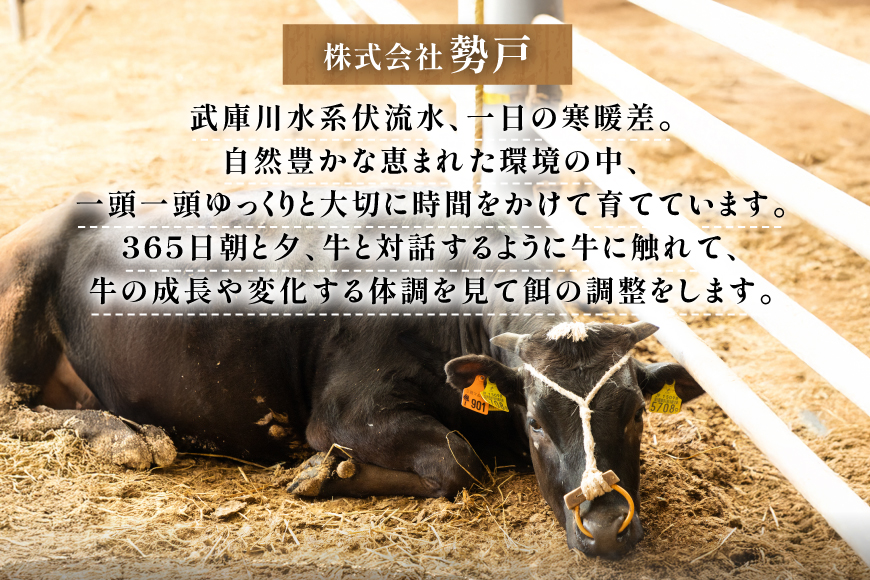 三田 マルセ牛 おまかせ ミニステーキ 3枚 [勢戸 兵庫県 三田市 3d28bae610042] 牛肉 肉 ステーキ ロース モモ 三田牛 三田マルセ牛