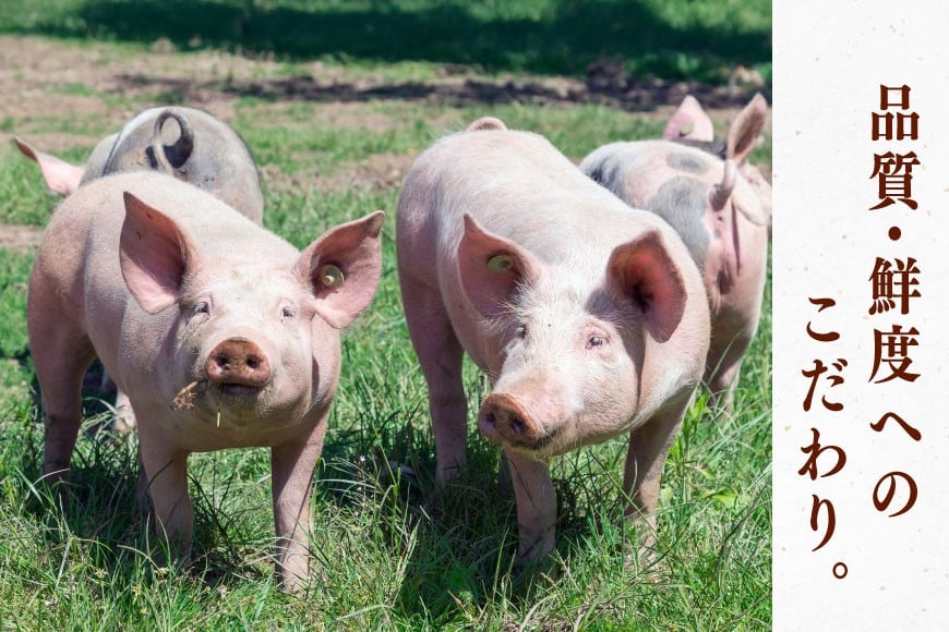 豚肉 バラエティ セット 計1.5kg 6回 定期便 [司フーズ・システム 兵庫県 三田市 3d28bdy500019] 豚 肉 とんかつ 小間切れ バラしゃぶ 豚こま肉 豚コマ 小分け 真空パック