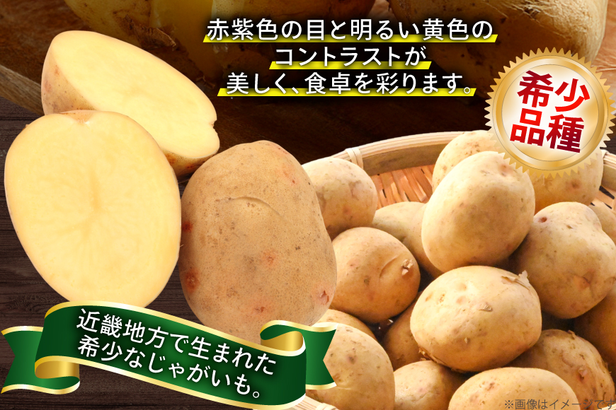じゃがいも はりまる 1kg 【期間限定発送】[SSSファーム 兵庫県 三田市 3d28bed520003] ジャガイモ 芋 いも じゃが芋 ポテト 国産 野菜 ふるさと納税
