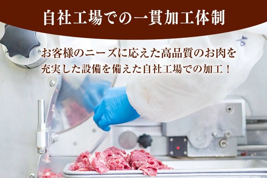 豚肉 バラエティ セット 計1.5kg 3回 定期便 [司フーズ・システム 兵庫県 三田市 3d28bdy500020] 豚 肉 とんかつ 小間切れ バラしゃぶ 豚こま肉 豚コマ 小分け 真空パック