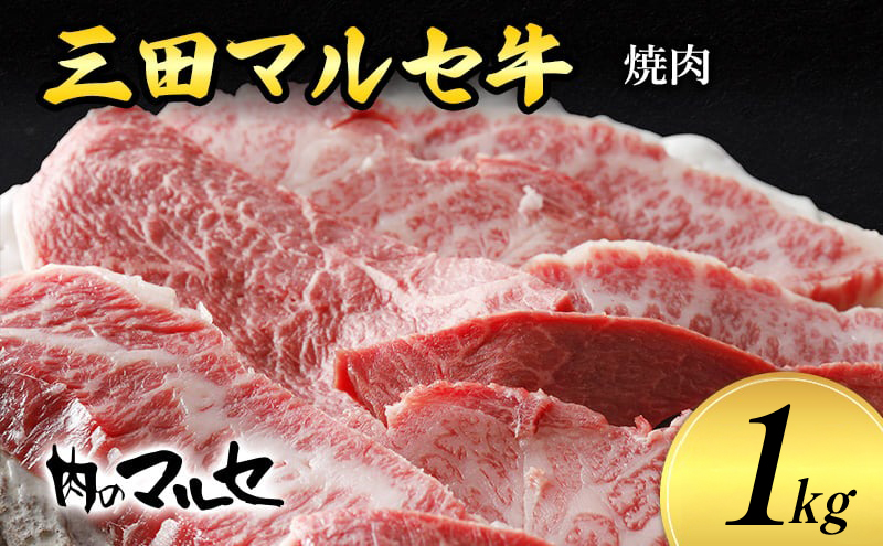 【ふるさと納税】 三田 マルセ牛 焼肉 1kg 焼き肉 やきにく 焼肉 焼肉パーティ 勢戸 牛肉 ギフト 肉 お祝い 但馬牛 神戸牛 三田牛 数量限定 訳あり ふるさと納税 ふるさと 人気 おすすめ 送料無料 兵庫県 三田市 [3d28bae610037]