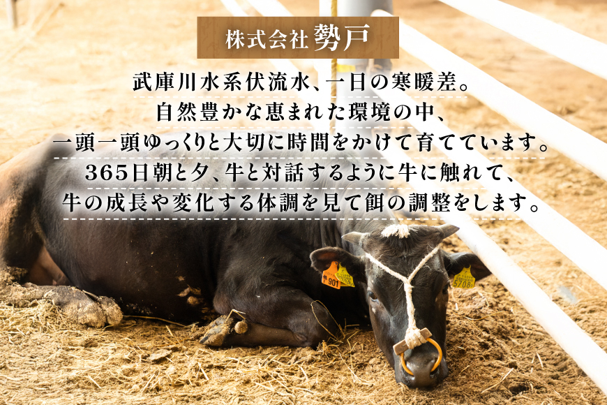 三田 マルセ牛 食べ比べ セット 計800g [勢戸 兵庫県 三田市 3d28bae610044] 牛肉 肉 サーロイン リブロース ランプ 三田牛 三田マルセ牛