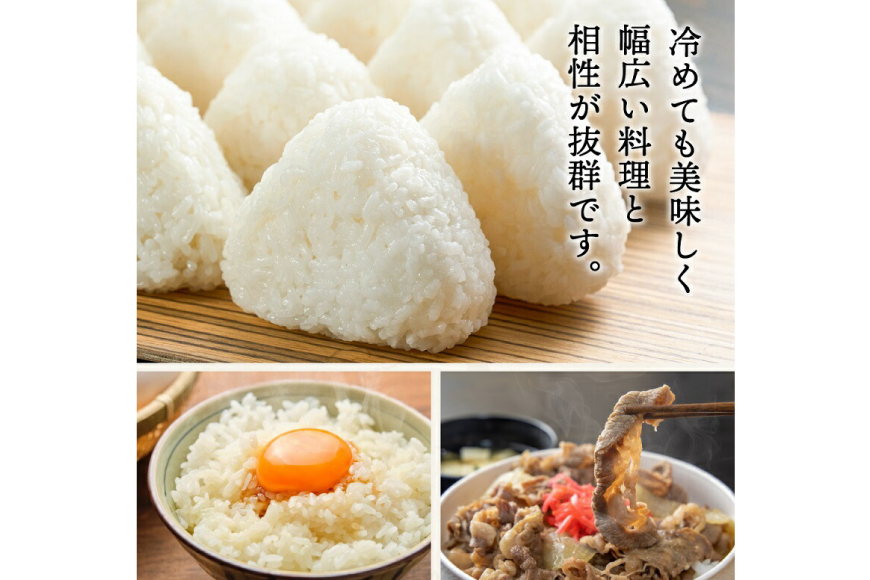 テレビで話題★【令和6年度産】 米 三田米 コシヒカリ 5kg [パスカルさんだ 兵庫県 三田市 3d28bae660039] お米 こめ おこめ 精米 白米 コメ オコメ もちもち つやつや ご飯 ごはん