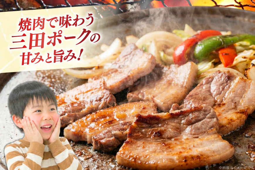 豚肉 小分け 兵庫県産 三田ポーク 焼肉用 3種 500g 計 1.5kg ロース 肩ロース バラ セット [パスカルさんだ 兵庫県 三田市 3d28bae660043] 冷凍 国産 焼肉 焼き肉 カット 豚 肉 詰め合わせ