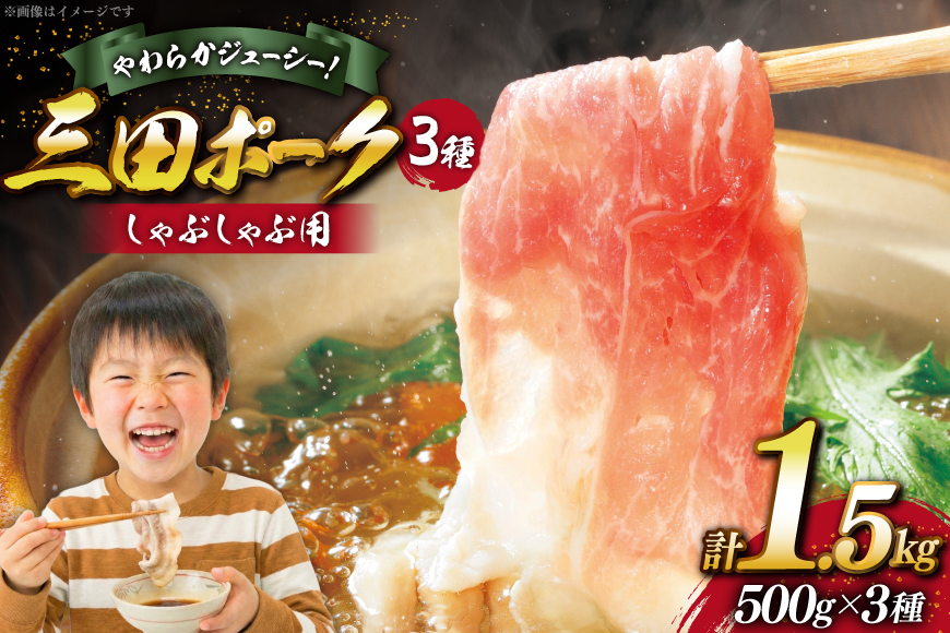 豚肉 小分け 兵庫県産 三田ポーク しゃぶしゃぶ用 3種 500g 計 1.5kg ロース 肩ロース バラ セット [パスカルさんだ 兵庫県 三田市 3d28bae660042] 冷凍 国産 しゃぶしゃぶ 豚 肉 詰め合わせ 薄切り