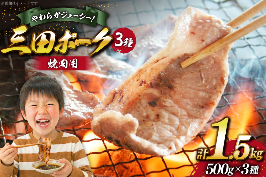 豚肉 小分け 兵庫県産 三田ポーク 焼肉用 3種 500g 計 1.5kg ロース 肩ロース バラ セット [パスカルさんだ 兵庫県 三田市 3d28bae660043] 冷凍 国産 焼肉 焼き肉 カット 豚 肉 詰め合わせ
