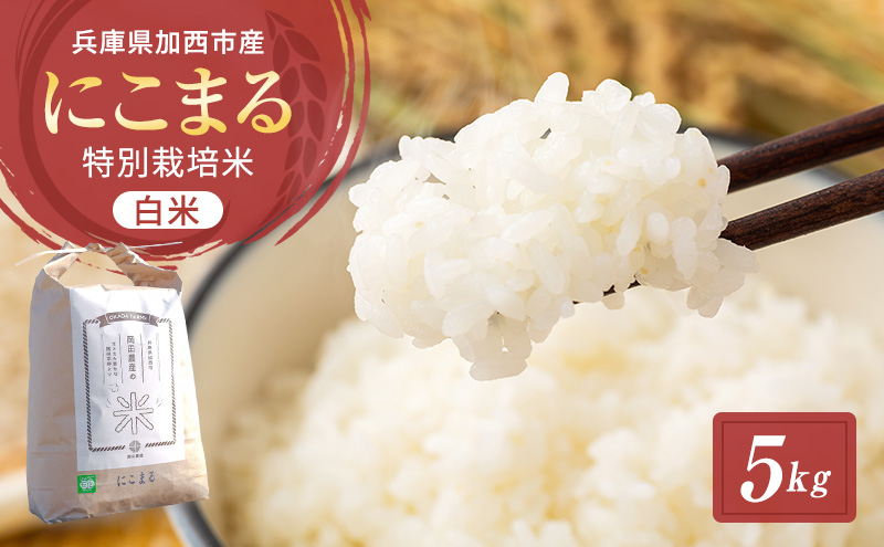 令和7年産 特別栽培米 にこまる 白米 5kg 精米 お米 こめ コメ ごはん ご飯 単一原料米