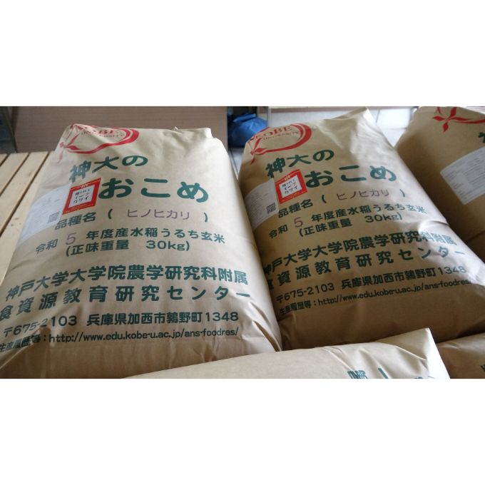 米 【令和5年産】神大のおこめ（特別栽培米ヒノヒカリ）玄米30kg