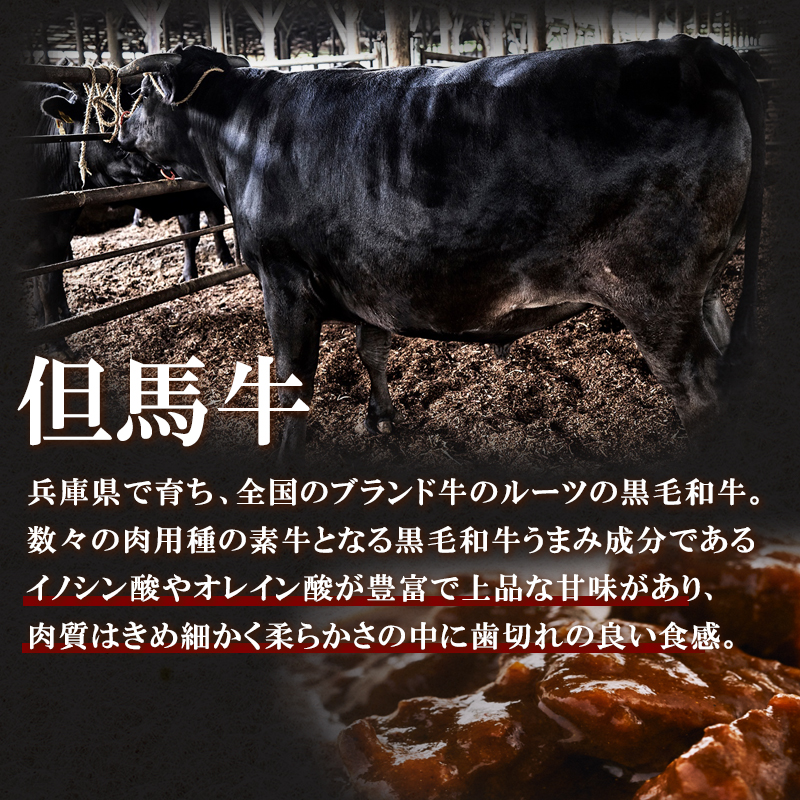 神戸牛カレー 2缶 缶詰 神戸牛 インスタントカレー レトルトカレー 防災食