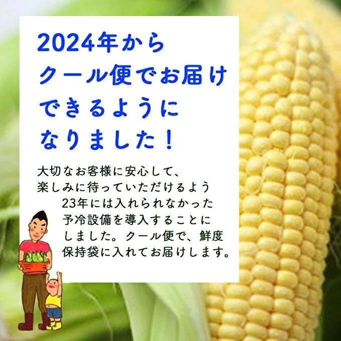 朝どれとうもろこし 5本～20本 約2～8kg前後 冷蔵 クール便 とうもろこし 季節の野菜 旬の野菜 新鮮 トウモロコシ 農家直送 夏野菜 野菜 お届け：2024年6月中旬～2024年7月上旬