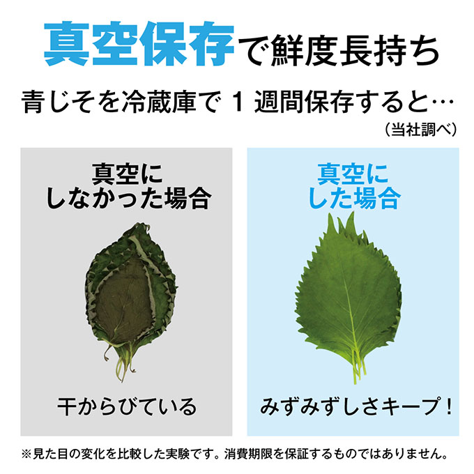 【10月1日より受付再開！】真空フレッシュボックス L 2個セット 真空ポンプ付き セット 詰め合わせ アサヒ軽金属 アサヒ ステンレス製 真空保存容器 真空保存 保存容器 密閉 真空ポンプ 手動 日用品 キッチン キッチン用品