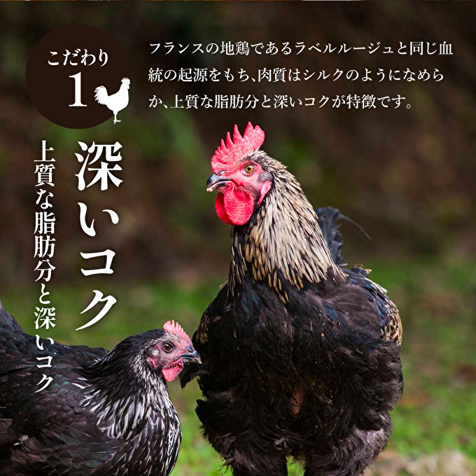 【最短4日以内発送！】 キーマカレー 地鶏丹波黒どりと丹波黒大豆のキーマカリー 6食 セット 詰め合わせ レトルトカレー レトルト食品 レトルト レトルトパウチ 常温保存 防災 防災食 非常食 カレー