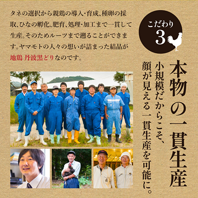 【最短4日以内発送！】 キーマカレー 地鶏丹波黒どりと京都府産黒大豆のキーマカリー 6食 セット 詰め合わせ レトルトカレー レトルト食品 レトルト レトルトパウチ 常温保存 防災 防災食 非常食 カレー