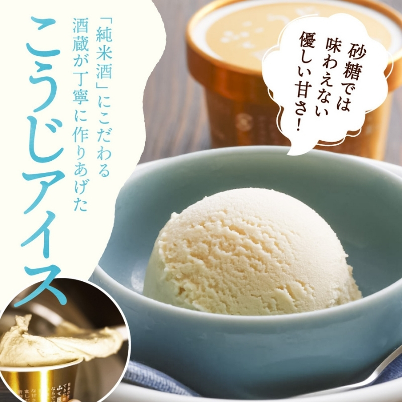 こうじアイス 9個 セット ギフト スイーツ 