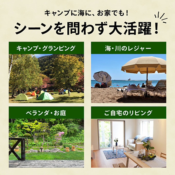 LUFT Director's Chair -デニム- アウトドア チェア 木製 市場家具