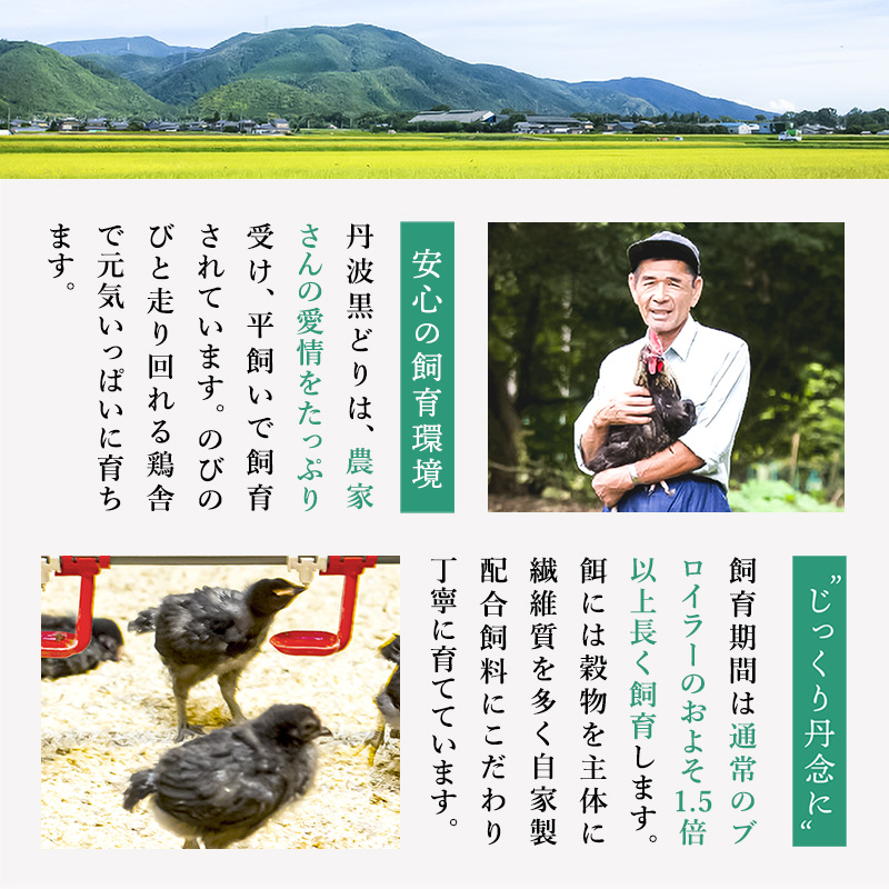 黒鶏の 親子丼 8食分(2食入×4)セット 時短調理 レシピ付 出汁 つゆ 一人暮らし