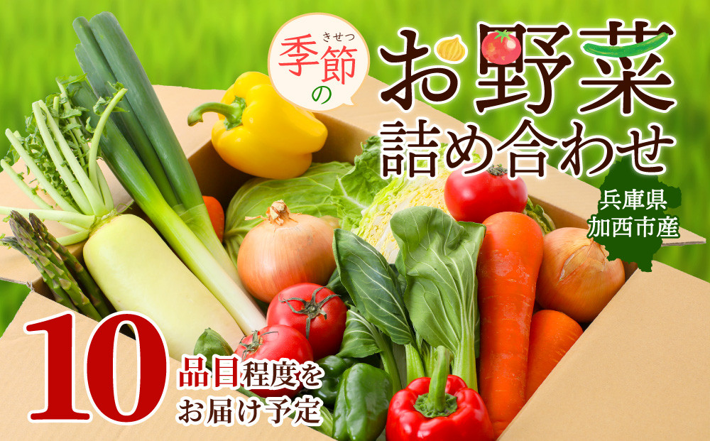 季節の野菜 セット 詰め合わせ 10品程度 野菜 野菜セット 旬の野菜 野菜詰め合わせ 野菜詰め合わせセット 新鮮野菜 新鮮野菜詰め合わせ 新鮮 旬