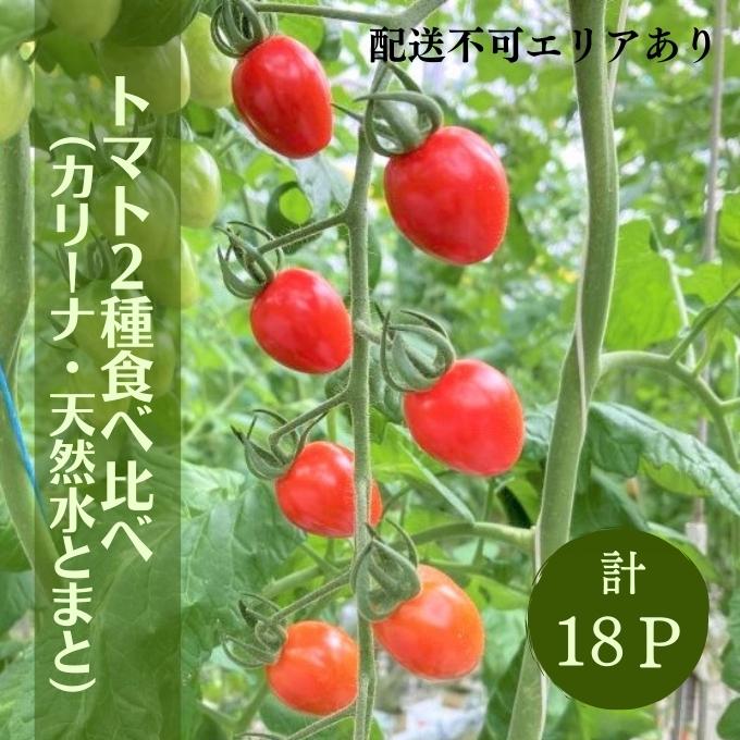 トマト 食べ比べ 2種 天然水トマト カリーナ 計18パック ミニトマト 兵庫県産 野菜 高品質 1箱 甘い あまい 夏野菜 糖度 お取り寄せ