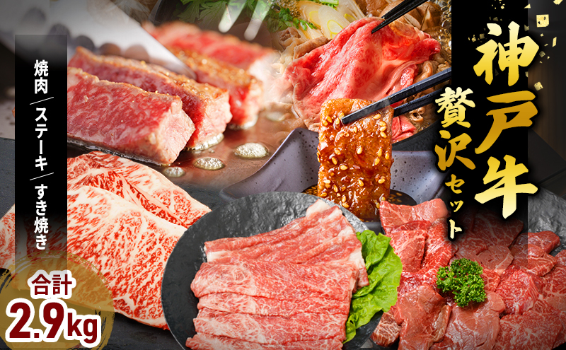 神戸牛 福袋 帝神 おまかせコース F  サーロインステーキ 肩スライス 牛カルビ ももステーキ もも焼肉 バラ肉 すじ肉