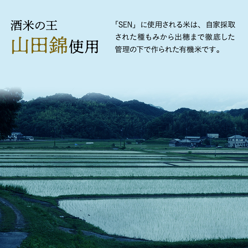 日本酒 720ml 2本 フルボトル 2023年全国新酒鑑評会金賞受賞 SEN 純米大吟醸 清酒 山田錦100％使用 純米酒 お酒 酒 アルコール 純米大吟醸酒 山田錦 贈り物 ギフト プレゼント