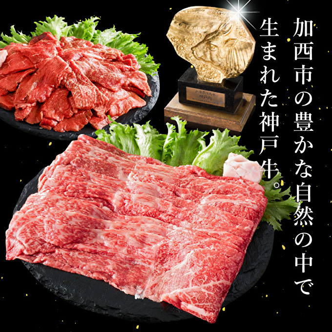 神戸牛 定期便 12ヶ月連続お届け 贅沢三昧 すき焼き肉 焼肉 ロースステーキ 焼肉食べ比べ 切り落とし スジ肉
