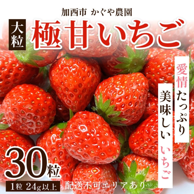 【令和8年産】 かぐや農園の極甘 いちご 大粒 30粒 果物 フルーツ 果実 高設栽培方式 紅ほっぺ かおり野 ロマンベリー お楽しみ