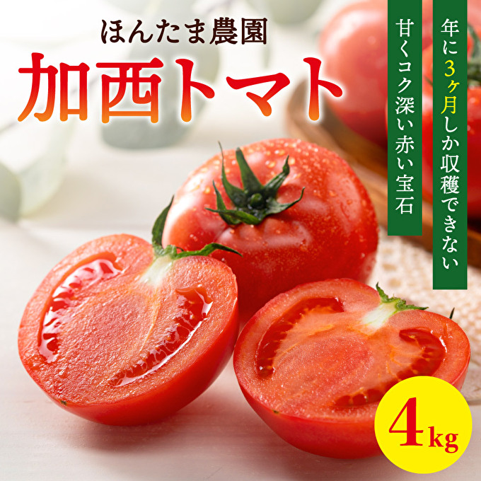 加西市産 ほんたま農園の大玉トマト 4kg（2kg×2箱） 野菜 とまと