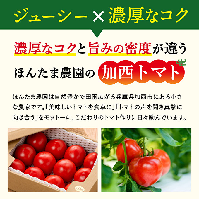 加西市産 ほんたま農園の大玉トマト 4kg（2kg×2箱）