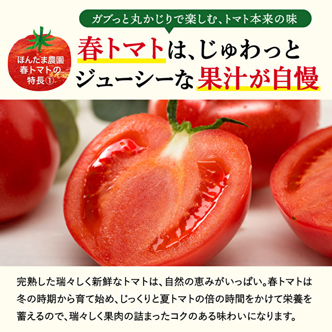 加西市産 ほんたま農園の大玉トマト 2kg