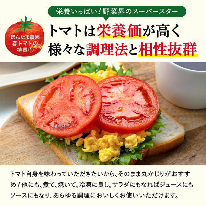 加西市産 ほんたま農園の大玉トマト 4kg（2kg×2箱）