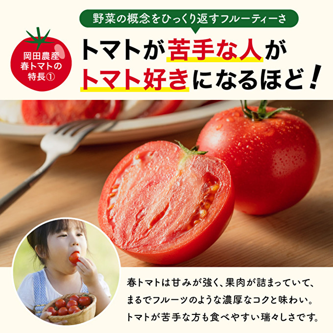 トマト 4kg トマトの一番星 野菜 とまと 完熟 高糖度 甘い 受賞 冷蔵配送