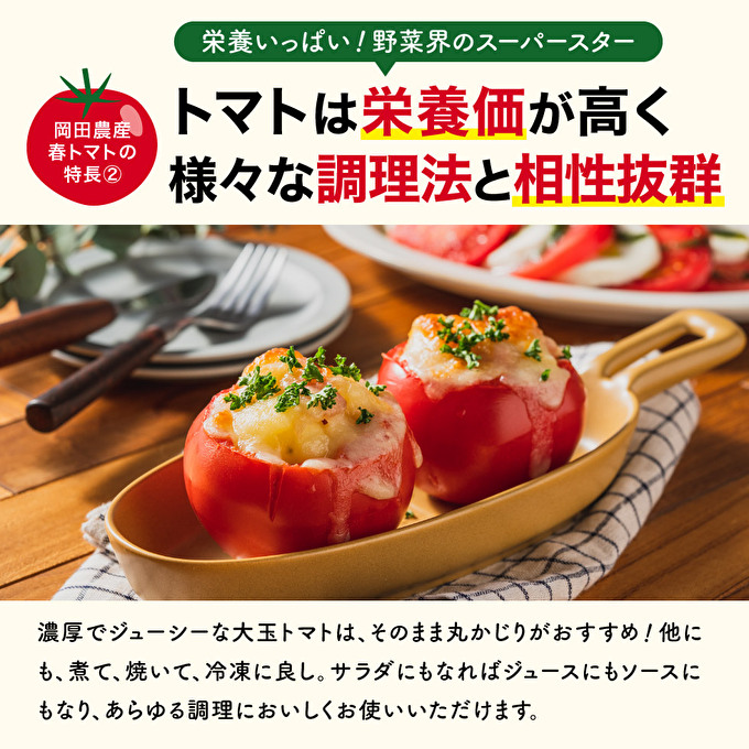 トマト 4kg トマトの一番星 野菜 とまと 完熟 高糖度 甘い 受賞 冷蔵配送