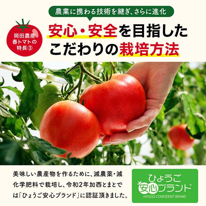 トマト 4kg トマトの一番星 野菜 とまと 完熟 高糖度 甘い 受賞 冷蔵配送