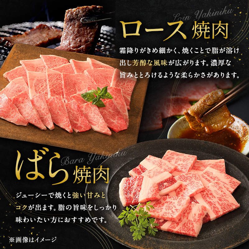 神戸牛 贅沢セットC 計850g 焼肉用ロース バラ ももステーキ