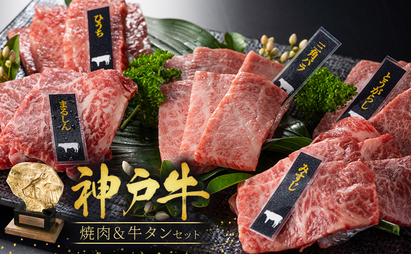 焼肉セット 3種 バラ モモ 牛タン 計500g 神戸牛 焼き肉 牛肉 和牛 焼肉 キャンプ BBQ アウトドア バーベキュー 黒毛和牛 お肉 冷凍  小分け 神戸ビーフ 