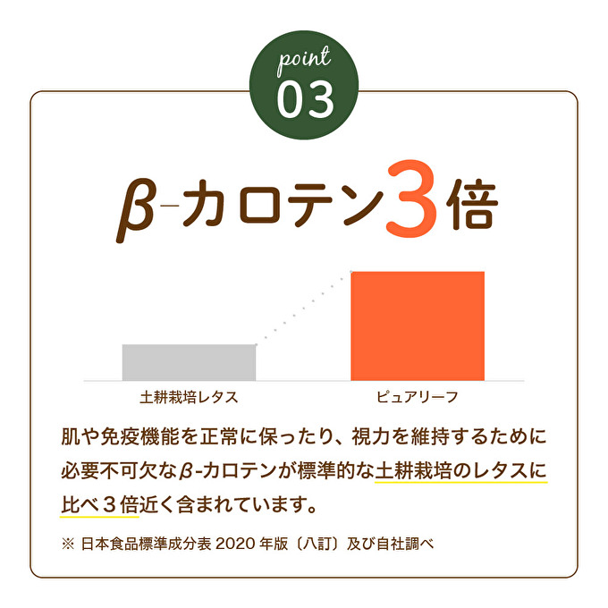 レタス ピュアリーフ 4個入り リーフレタス 栽培期間中 無農薬 新鮮 サラダ 最新植物工場レタス