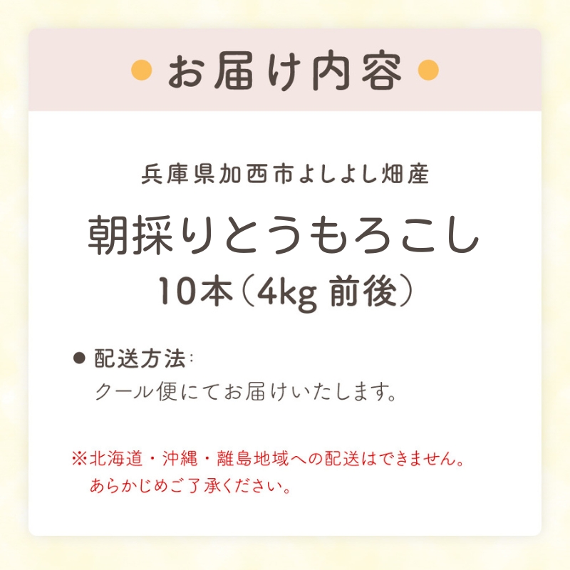 とうもろこし 朝どり 10本 4kg 前後 2025年 兵庫県産 よしよし畑 農家直送 朝どれ 野菜 新鮮 高糖度 キャンプ BBQ アウトドア 極甘 甘い 絶品 朝 採り 夏野菜 あまい 冷蔵配送