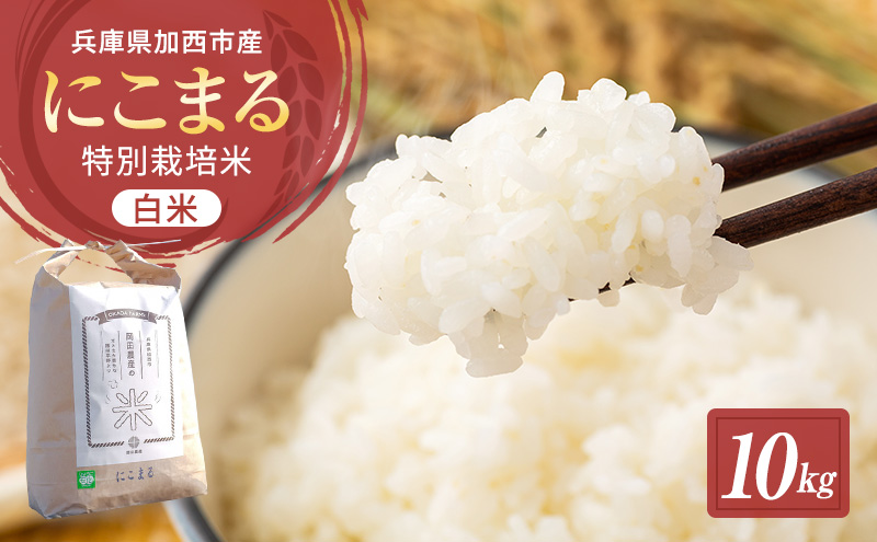 令和7年産 特別栽培米 にこまる 白米 5kg (5kg×2袋)精米 お米 こめ コメ ごはん ご飯 単一原料米