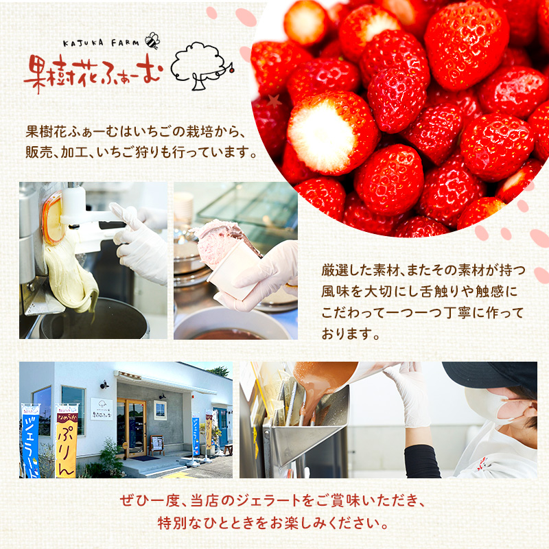 ジェラート 12個 12種 詰め合わせ アイス アイスクリーム スイーツ お菓子 菓子 おやつ 兵庫県 加西市