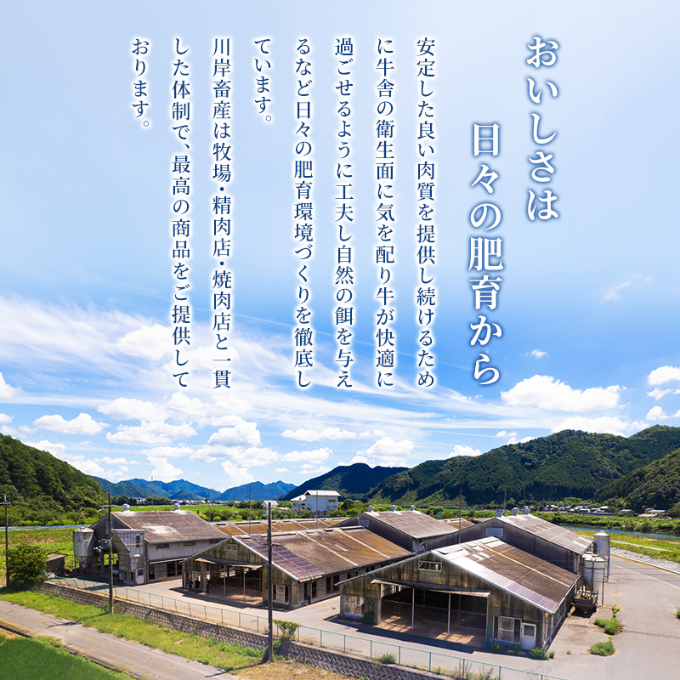 【最短7日以内発送】 神戸ビーフ 神戸牛 牝 上バラ 1000g 1kg 川岸畜産 すき焼き しゃぶしゃぶ  焼肉 大容量 冷凍 肉 牛肉 すぐ届く