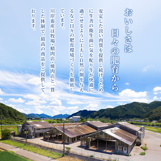 【最短7日以内発送】 神戸ビーフ 神戸牛 牝 特選ロース 500g 川岸畜産 すき焼き しゃぶしゃぶ 焼肉 冷凍 肉 牛肉 すぐ届く お肉 和牛 食材 グルメ ブランド牛 日本産 国産 夕飯 晩御飯 夜ごはん