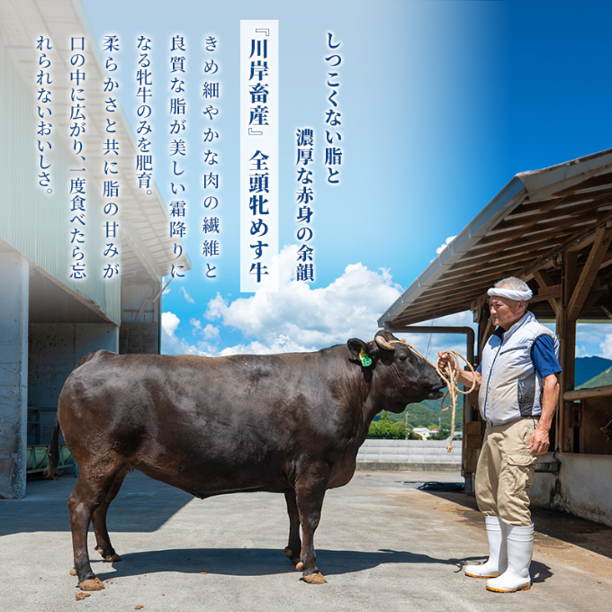 【最短7日以内発送】 神戸ビーフ 神戸牛 牝 ロース サイコロステーキ 300g 川岸畜産 ステーキ 焼肉 冷凍 肉 牛肉 すぐ届く