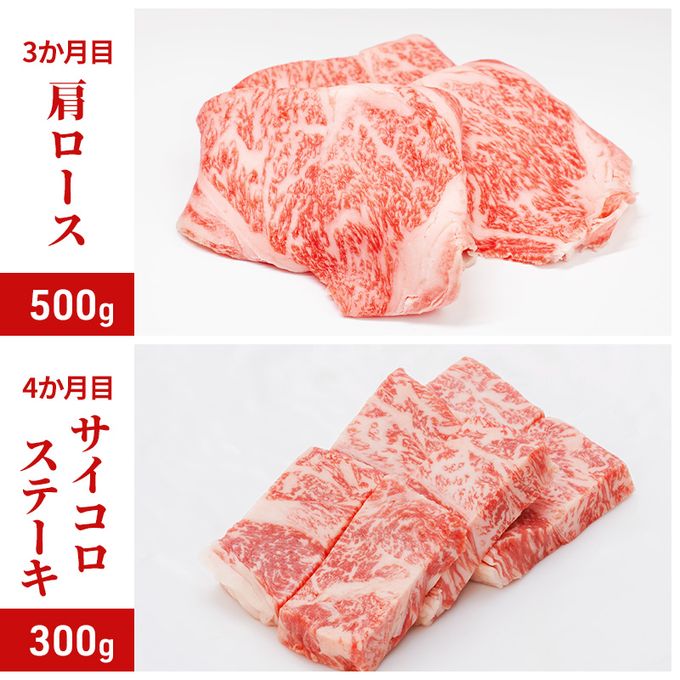 神戸ビーフ 神戸牛 牝 6か月連続 お届け 定期便 最高級セット 食べ比べ 焼肉 すき焼き しゃぶしゃぶ ステーキ 冷凍 肉 牛肉 すぐ届く