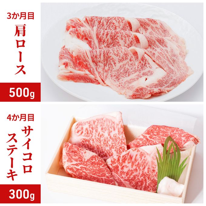 神戸ビーフ 神戸牛 牝 6か月連続 お届け 定期便 最高級セット 食べ比べ 焼肉 すき焼き しゃぶしゃぶ ステーキ 冷凍 肉 牛肉 すぐ届く