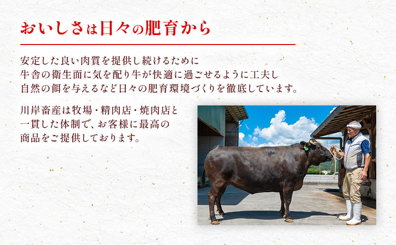 【最短7日以内発送】 神戸ビーフ 神戸牛 牝 上カルビ 焼肉 1000g 1kg 川岸畜産 大容量 冷凍 肉 牛肉 すぐ届く